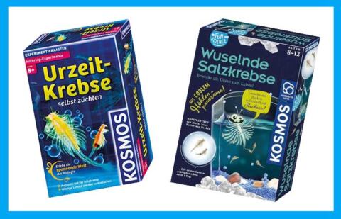 Urzeitkrebes züchten Kosmos